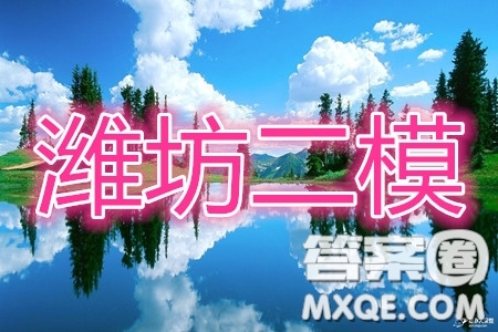 2020年濰坊二模語(yǔ)文試題及答案