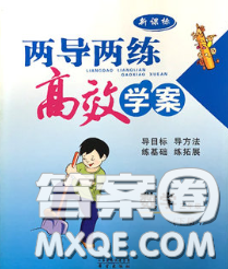 2020新版兩導(dǎo)兩練高效學(xué)案三年級(jí)數(shù)學(xué)下冊(cè)人教版答案