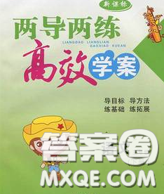 2020新版兩導(dǎo)兩練高效學(xué)案三年級(jí)語(yǔ)文下冊(cè)人教版答案