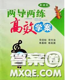 2020新版兩導(dǎo)兩練高效學(xué)案一年級(jí)語(yǔ)文下冊(cè)人教版答案
