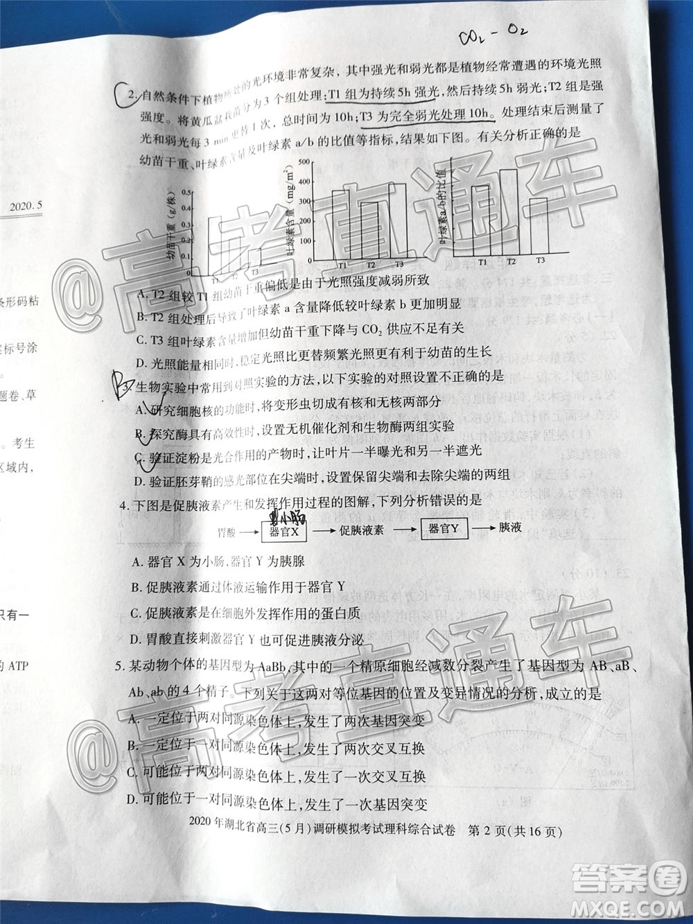 2020年湖北省高三5月調(diào)研模擬考試理科綜合試題及答案