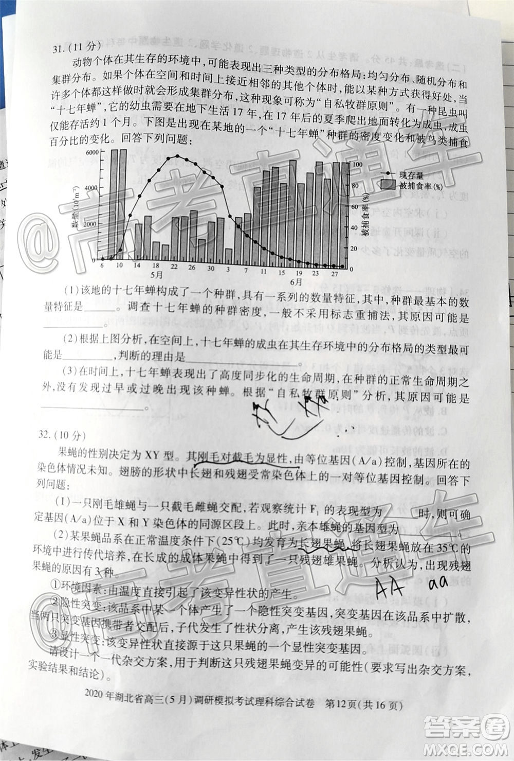 2020年湖北省高三5月調(diào)研模擬考試理科綜合試題及答案