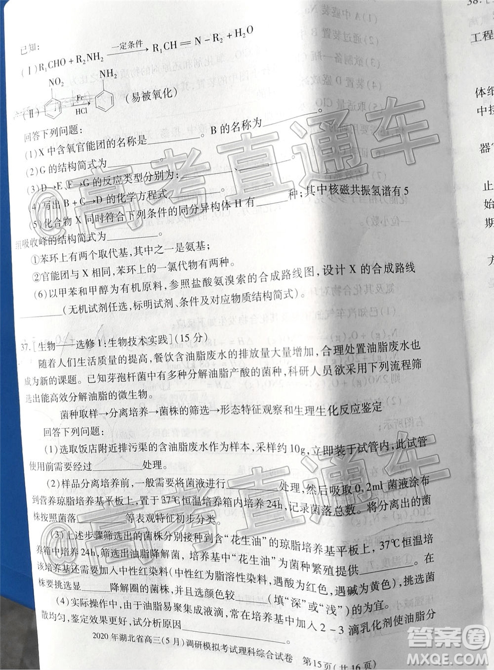 2020年湖北省高三5月調(diào)研模擬考試理科綜合試題及答案