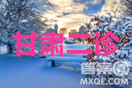 2020年甘肅省第二次高考診斷考試文科數(shù)學(xué)試題及答案