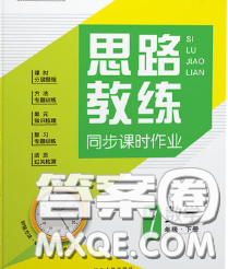 2020春思路教練同步課時作業(yè)七年級數(shù)學(xué)下冊人教版答案