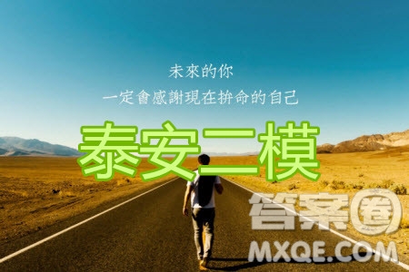 2020年泰安二模高三數(shù)學(xué)試題及答案