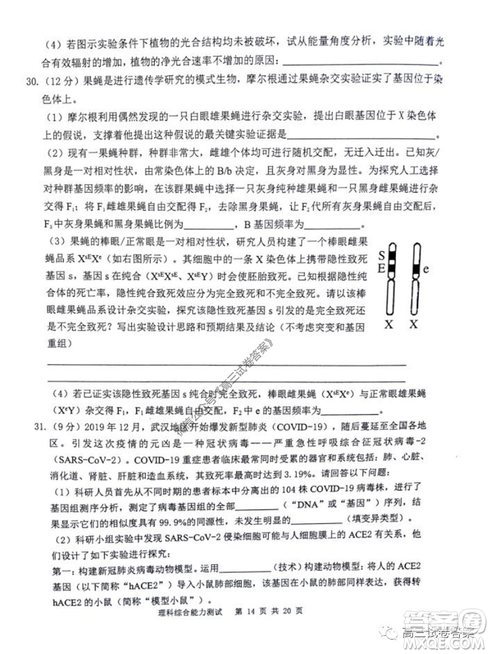 雅禮中學2020屆高三5月質量檢測理科綜合試題及答案