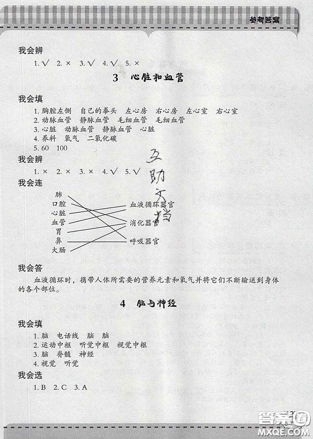 青島出版社2020春新課堂同步學習與探究五年級科學下冊答案