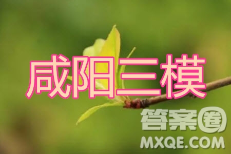 咸陽市2020年高考模擬檢測三語文試題及答案