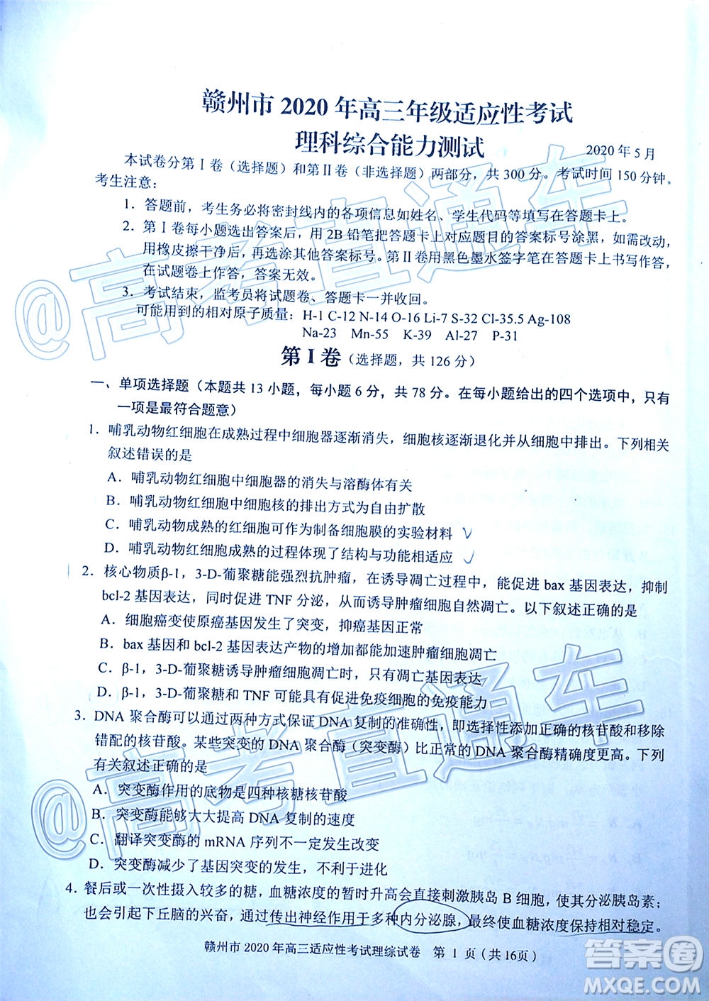 2020年5月贛州市高三年級適應(yīng)性考試?yán)砜凭C合試題及答案