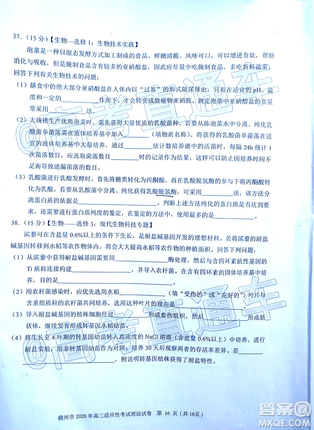2020年5月贛州市高三年級適應(yīng)性考試?yán)砜凭C合試題及答案