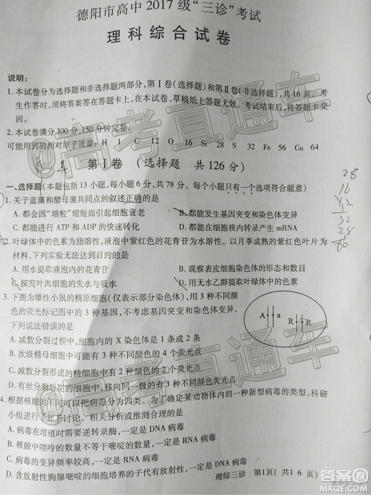 德陽(yáng)市高中2017級(jí)三診考試?yán)砜凭C合試題及答案