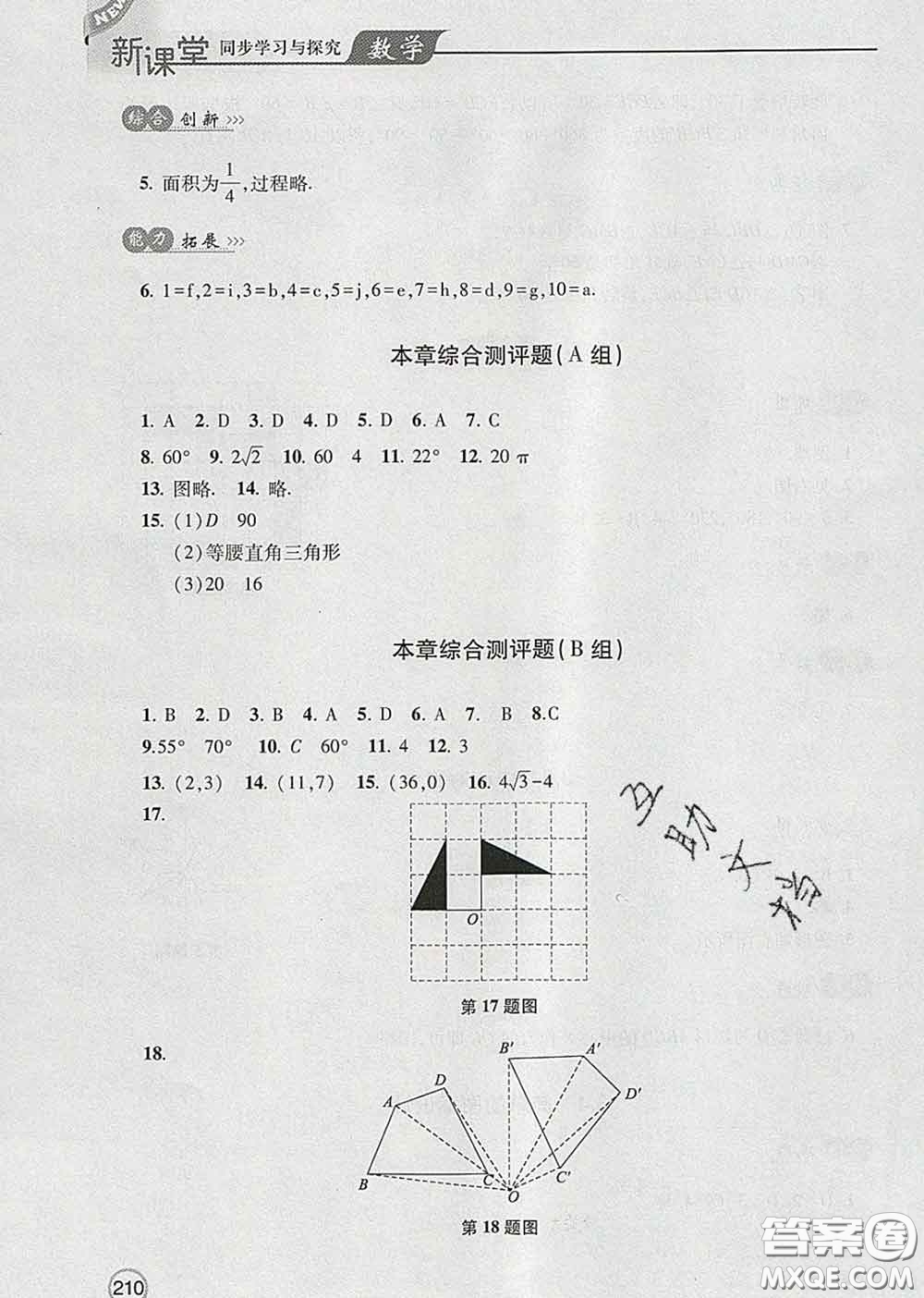 青島出版社2020春新課堂同步學(xué)習(xí)與探究八年級(jí)數(shù)學(xué)下冊(cè)答案