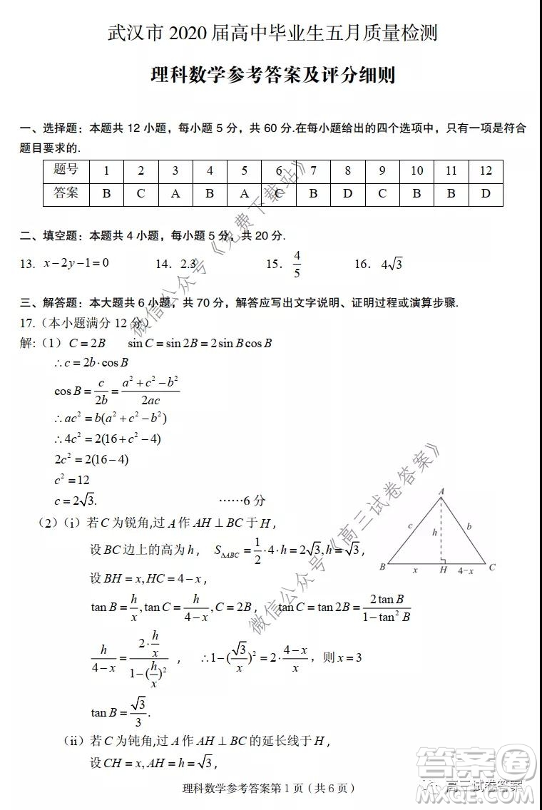 武漢市2020屆高中畢業(yè)生五月質(zhì)量檢測(cè)理科數(shù)學(xué)試題及答案