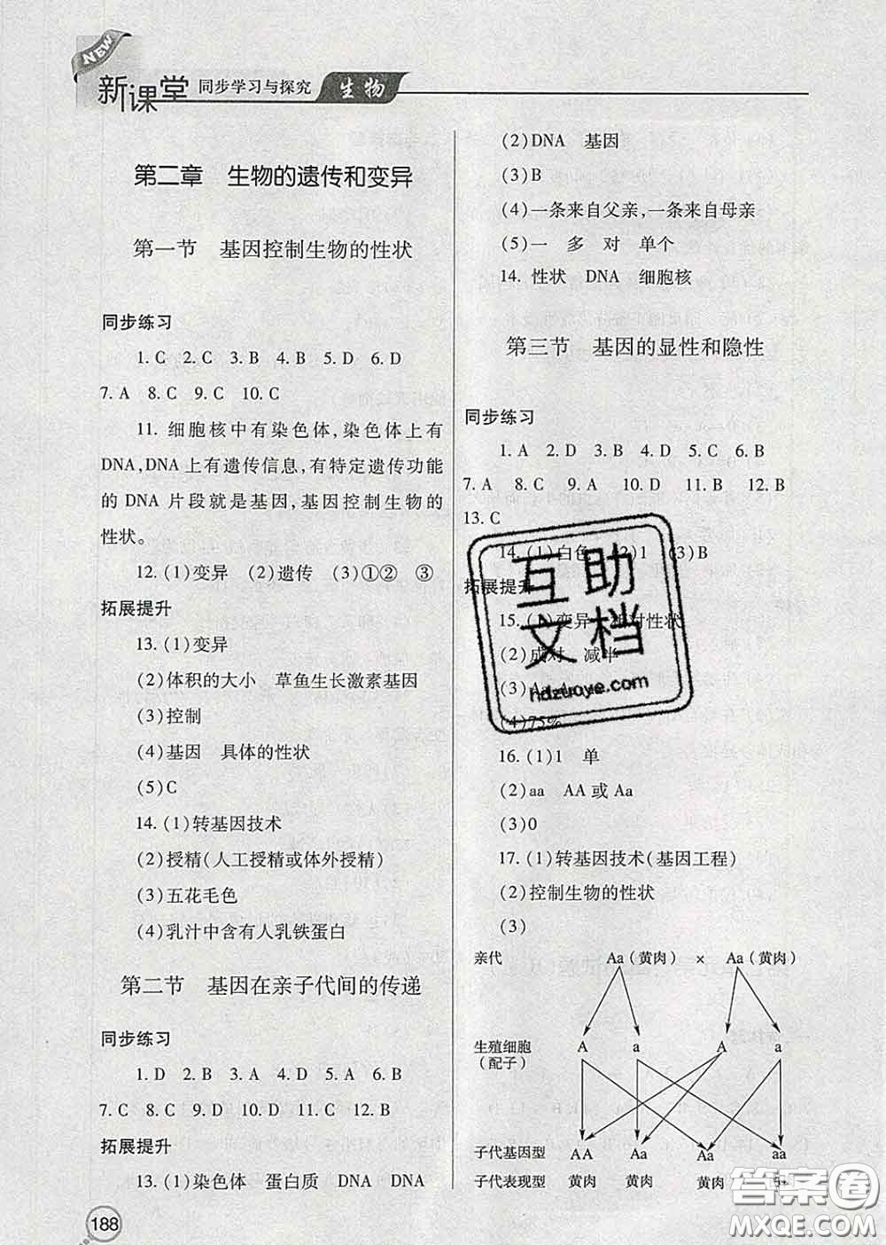 青島出版社2020春新課堂同步學(xué)習(xí)與探究八年級生物下冊答案