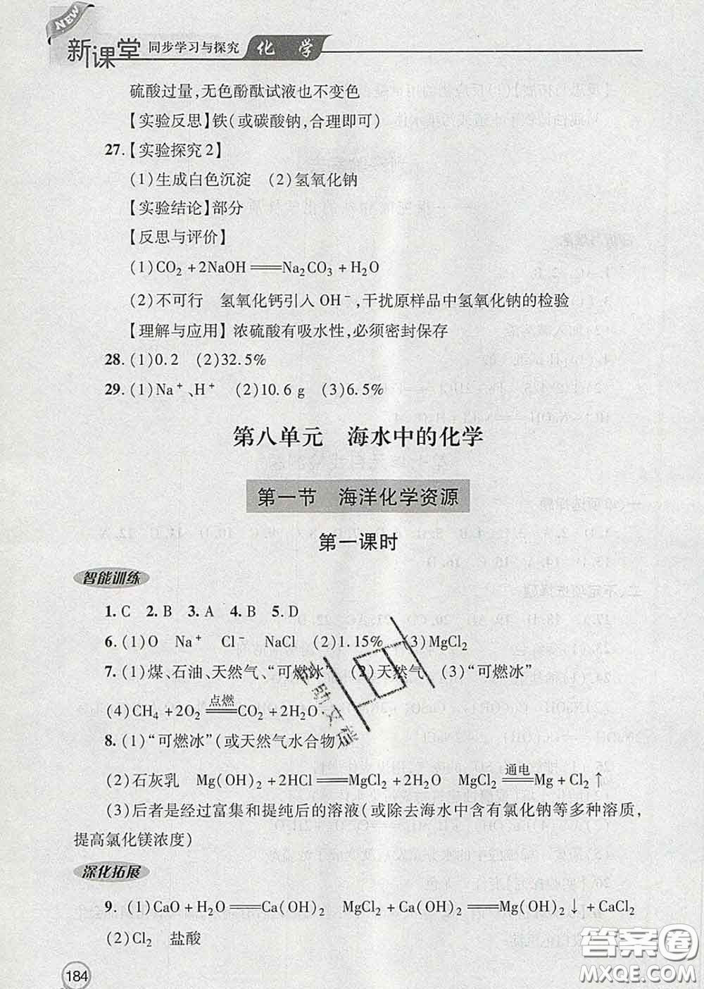 青島出版社2020春新課堂同步學習與探究九年級化學下冊答案