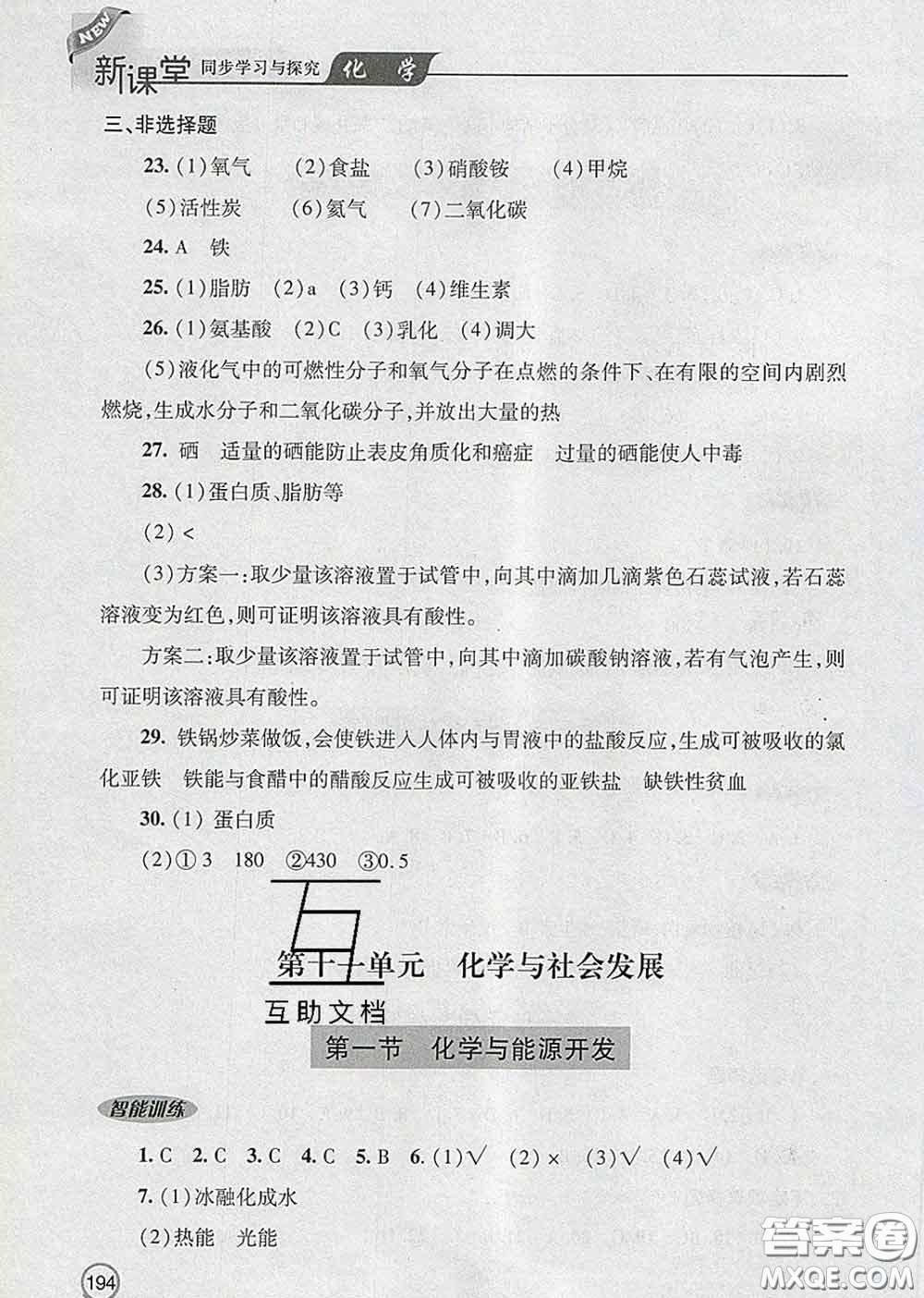 青島出版社2020春新課堂同步學習與探究九年級化學下冊答案