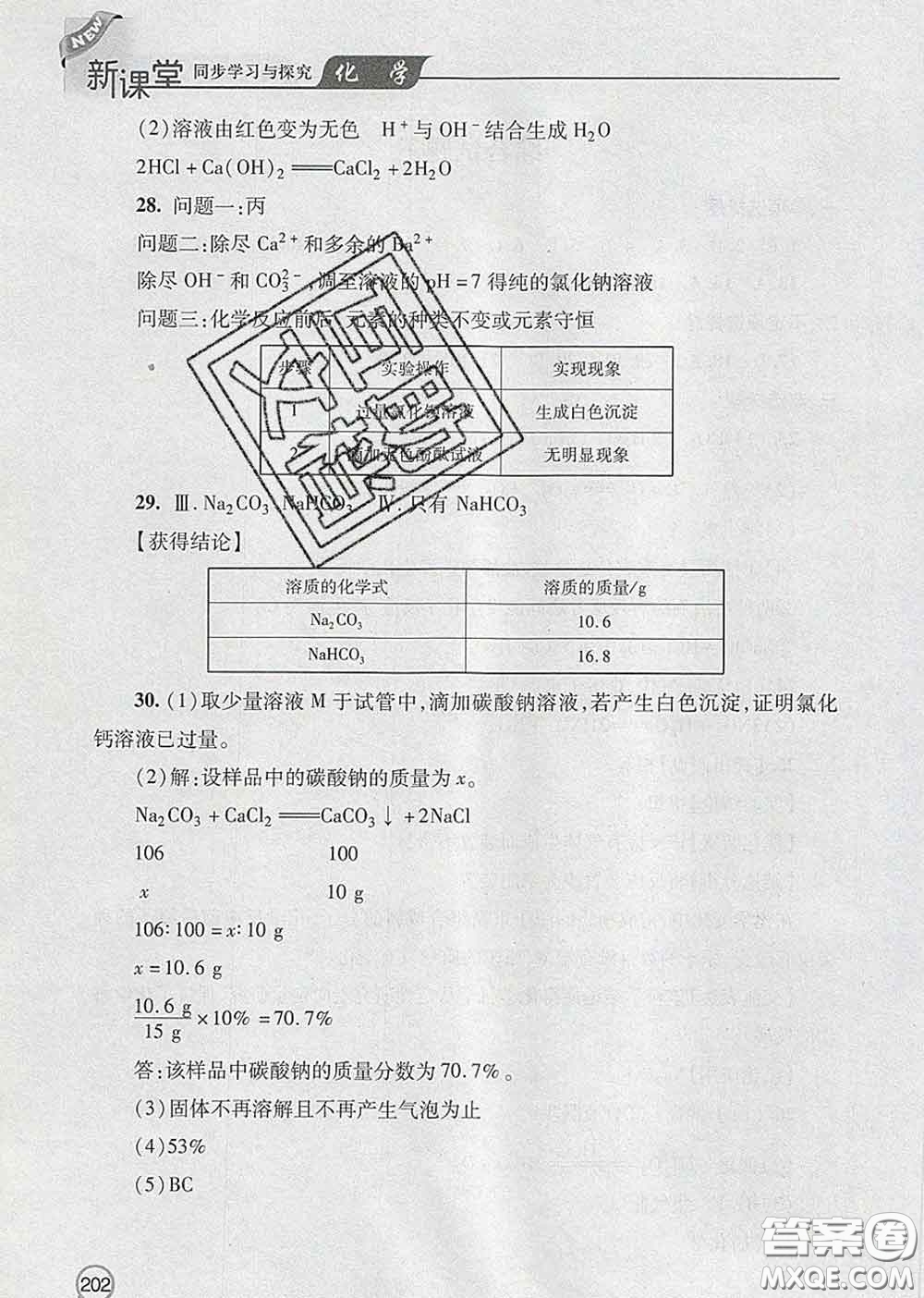 青島出版社2020春新課堂同步學習與探究九年級化學下冊答案
