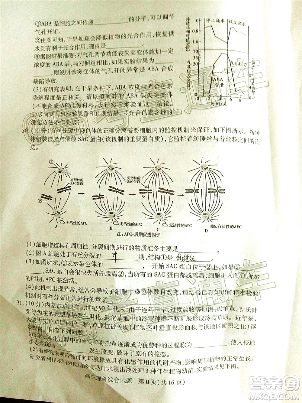 2020年運城二模理科綜合試題及答案
