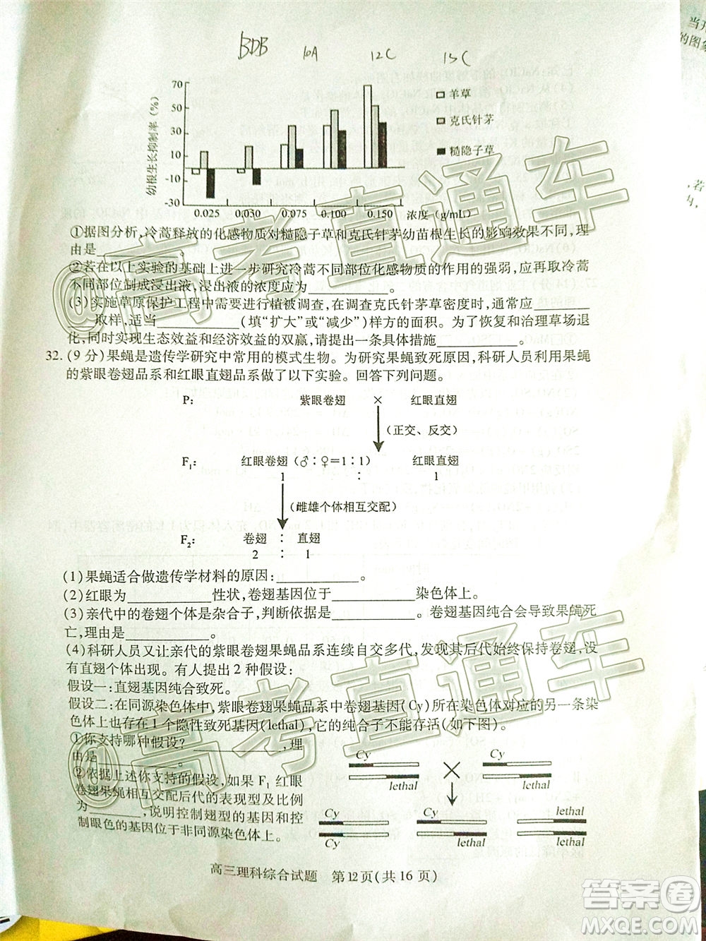 2020年運城二模理科綜合試題及答案