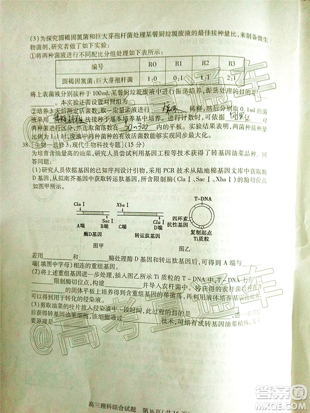 2020年運城二模理科綜合試題及答案