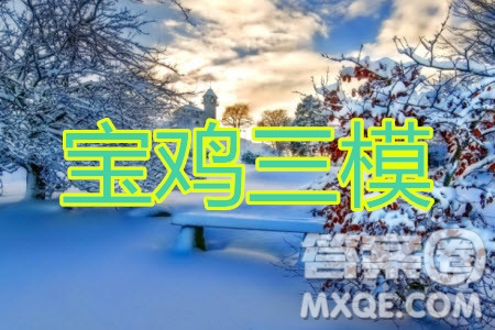 2020年寶雞市高考模擬檢測三理科數(shù)學試題及答案