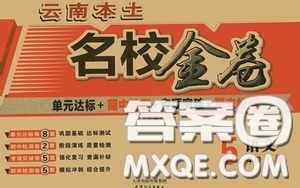 2020云南本土名校金卷五年級(jí)語文下冊人教版答案