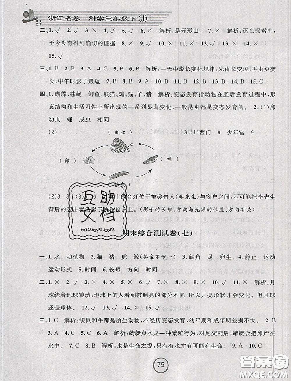 浙江大學出版社2020春浙江名卷三年級科學下冊教科版答案