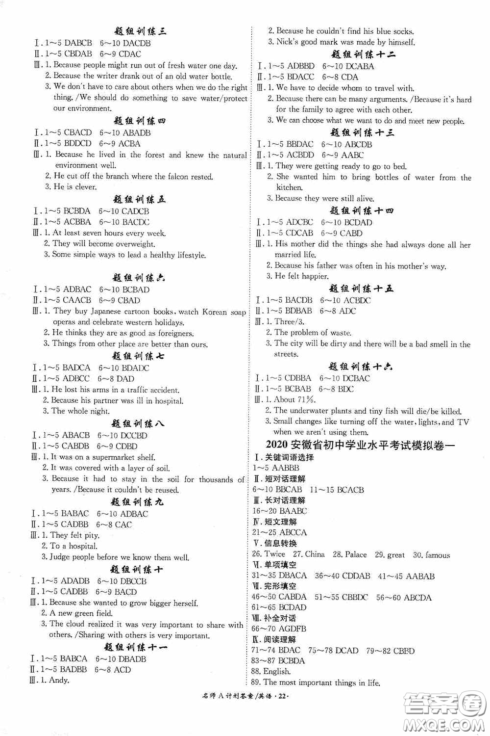 2020木牘教育安徽中考總復習名師A計劃強化練習冊英語答案