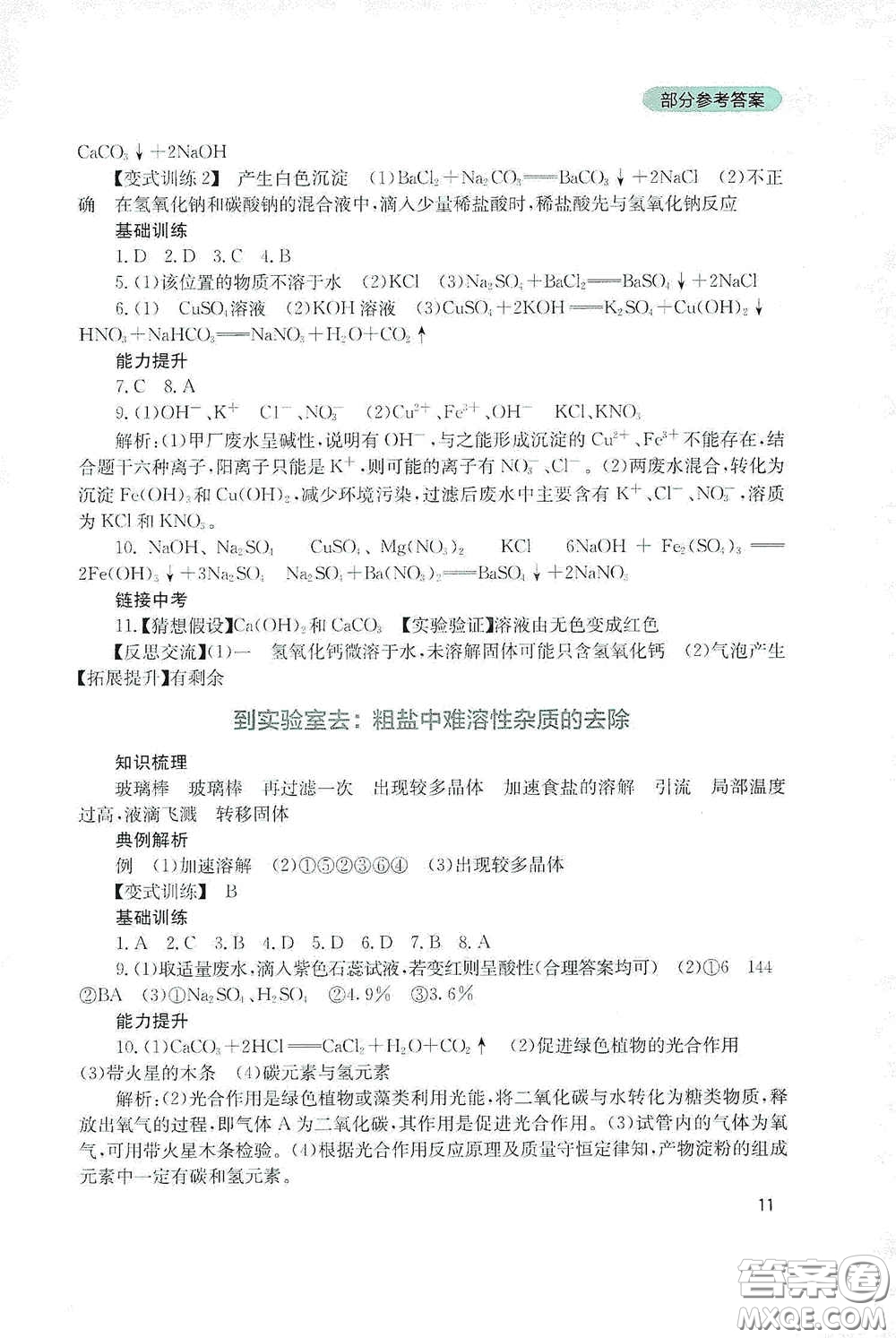 四川教育出版社2020新課程實踐與探究叢書九年級化學下冊山東教育版答案