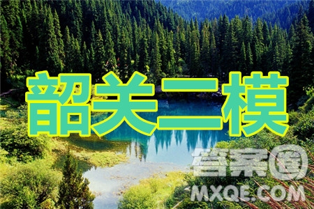 2020年韶關(guān)二模高三理科數(shù)學(xué)試題及答案