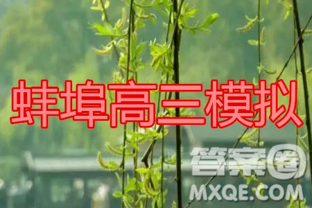 2020年蚌埠高三第四次教學(xué)質(zhì)量檢測(cè)語文試題及答案