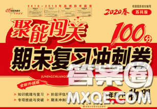 2020春聚能闖關100分期末復習沖刺卷九年級物理下冊蘇科版答案