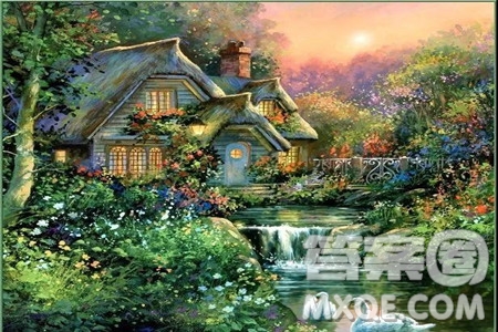 熱帶雨林探險記作文400字 關于熱帶雨林探險記作文400字