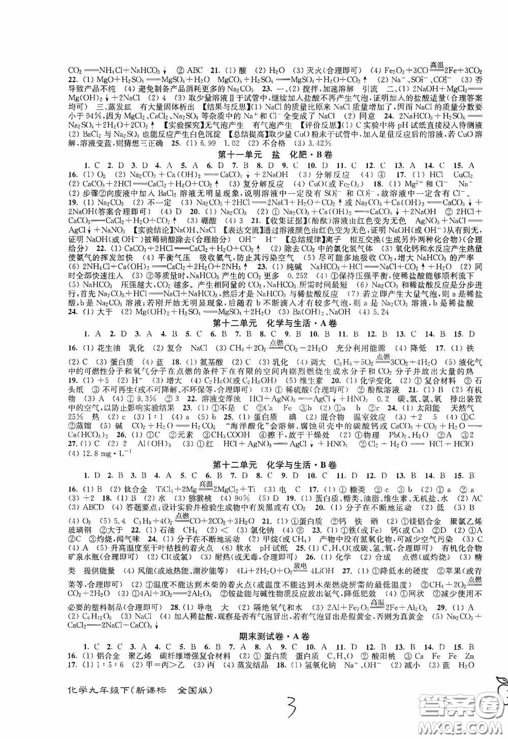 東南大學(xué)出版社2020江蘇密卷九年級(jí)化學(xué)下冊(cè)全國版答案