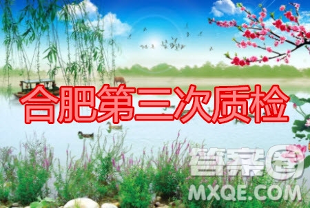 合肥市2020高三第三次教學質量檢測語文試題及答案