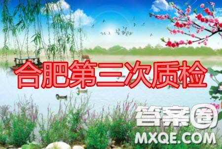 合肥市2020高三第三次教學(xué)質(zhì)量檢測理科數(shù)學(xué)試題及答案