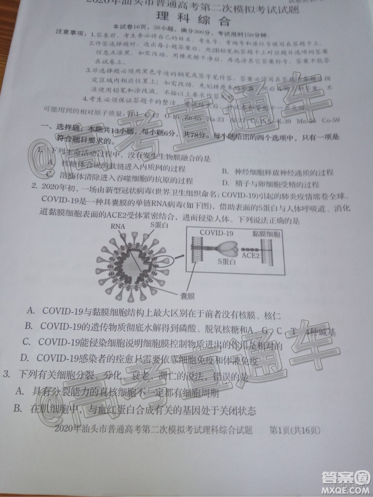 2020年汕頭市普通高考第二次模擬考試理科綜合試題及答案