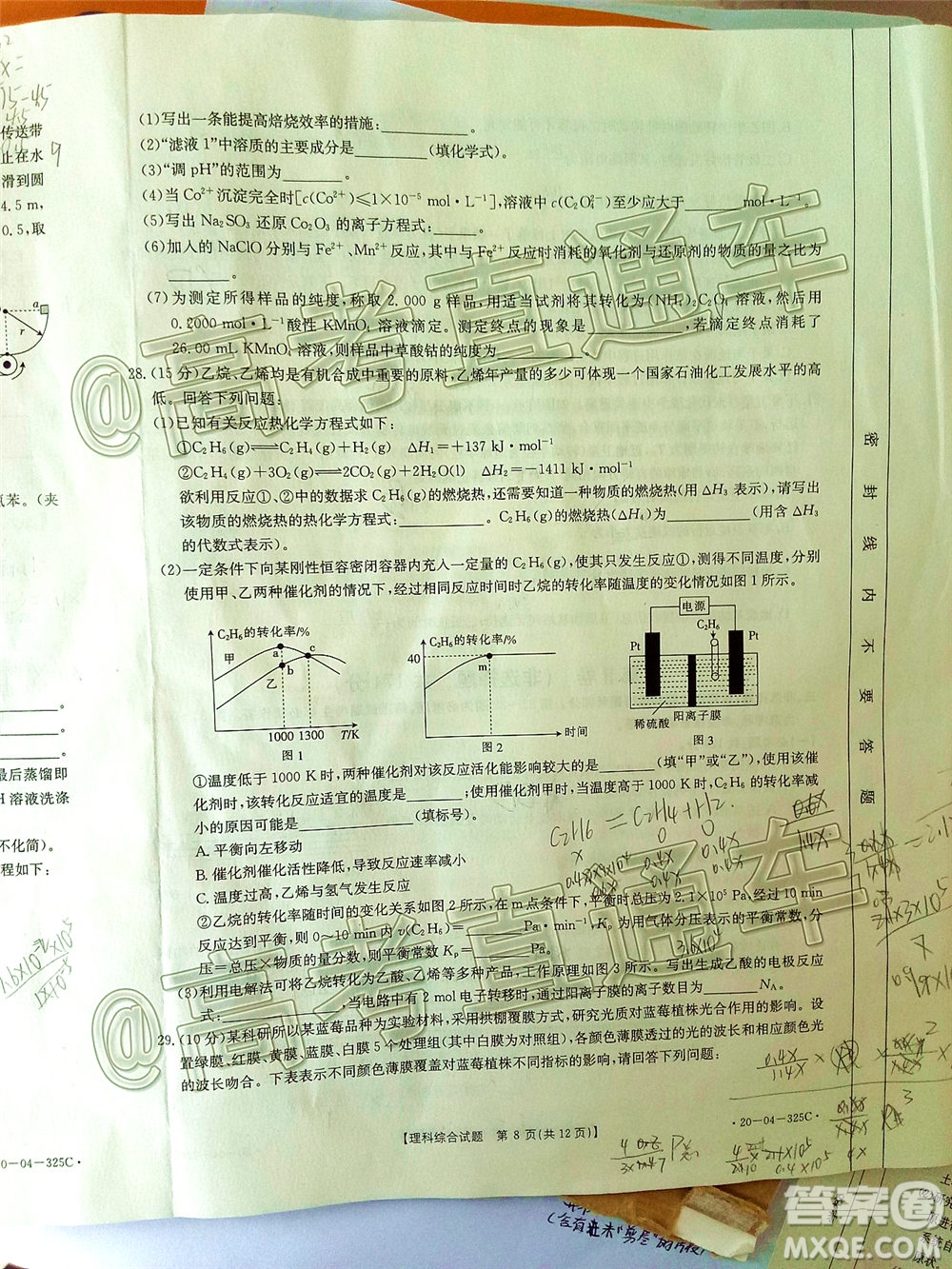 2020年莆田市高中畢業(yè)班第三次教學(xué)質(zhì)量檢測(cè)理科綜合試題及答案