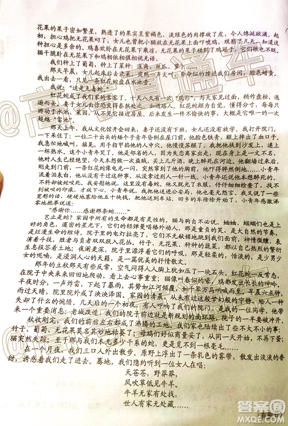 2020屆邵陽(yáng)市高三第三次聯(lián)考試題卷語(yǔ)文試題及答案