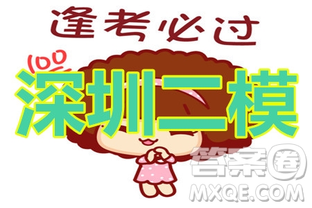 2020年深圳市高三年級(jí)第二次調(diào)研考試文科數(shù)學(xué)試題及答案
