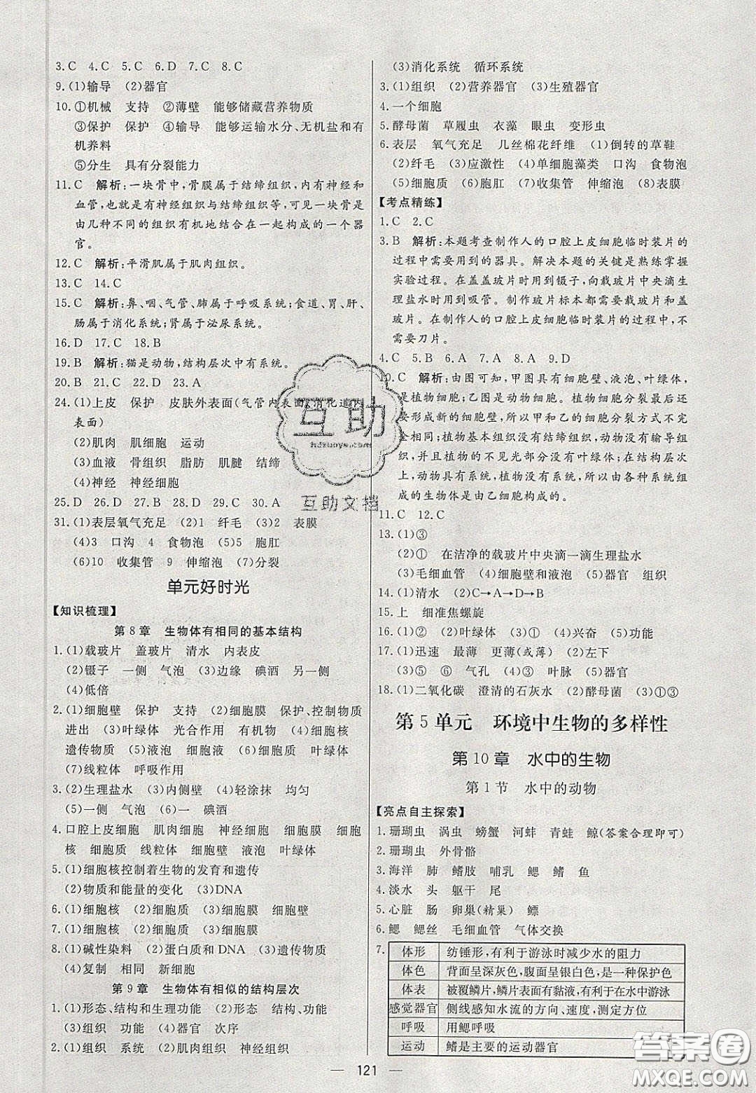 2020年亮點激活中學教材多元演練七年級生物下冊蘇科版答案