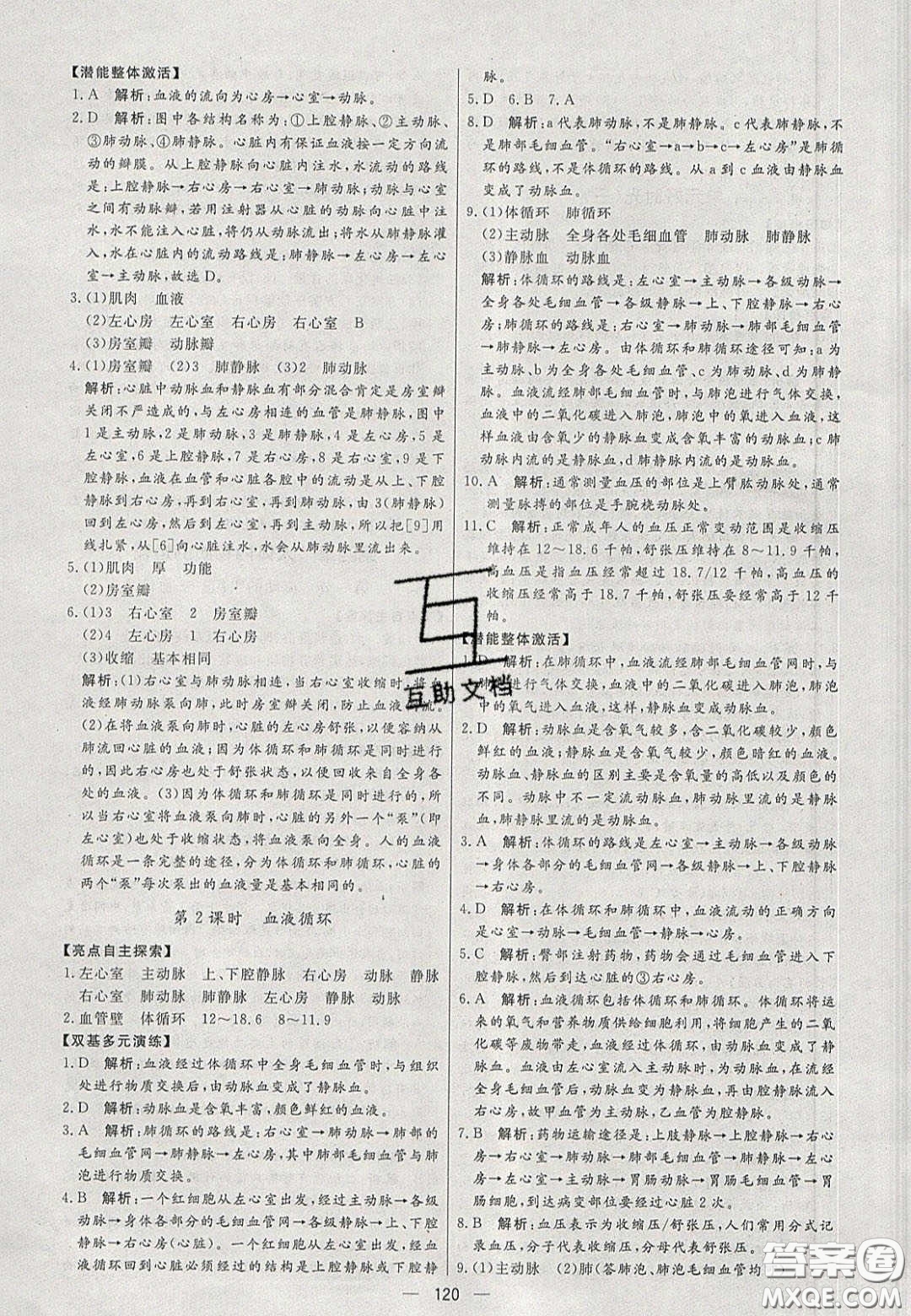 2020年亮點(diǎn)激活中學(xué)教材多元演練七年級(jí)生物下冊(cè)人教版答案