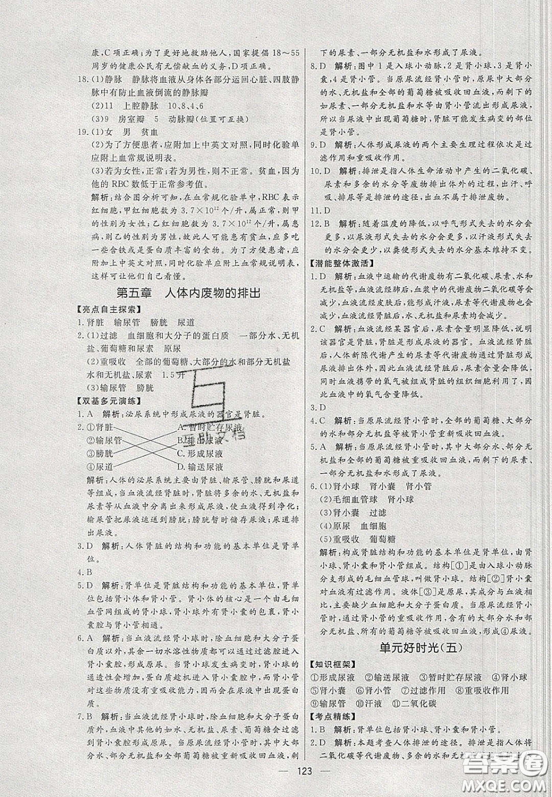 2020年亮點(diǎn)激活中學(xué)教材多元演練七年級(jí)生物下冊(cè)人教版答案