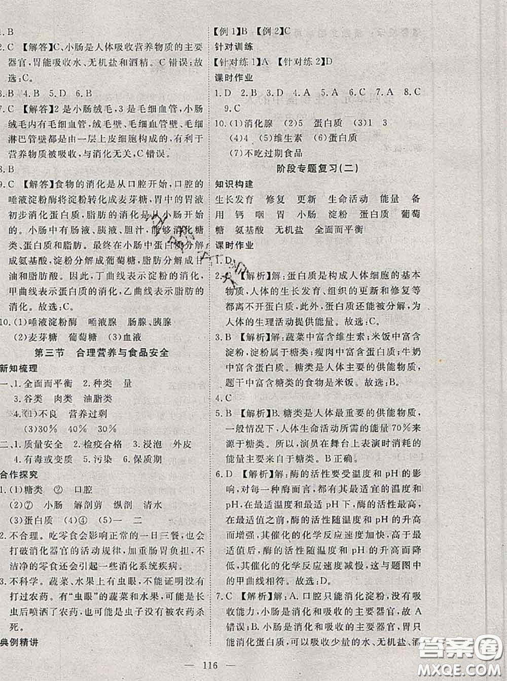 2020新版351高效課堂導學案七年級生物下冊人教版答案