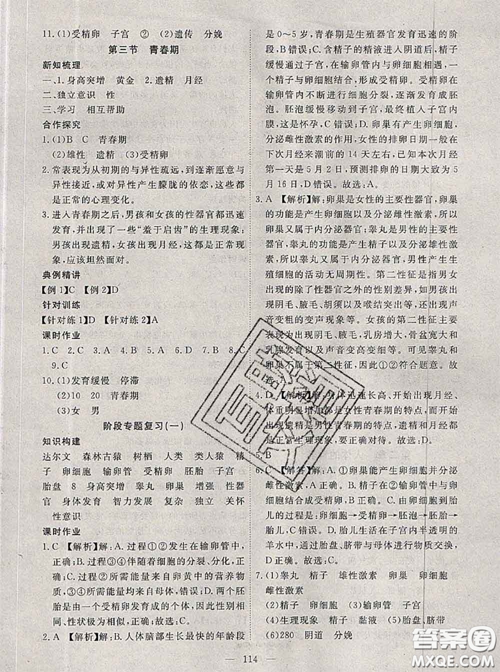 2020新版351高效課堂導學案七年級生物下冊人教版答案