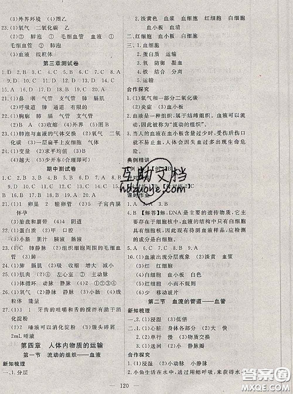 2020新版351高效課堂導學案七年級生物下冊人教版答案