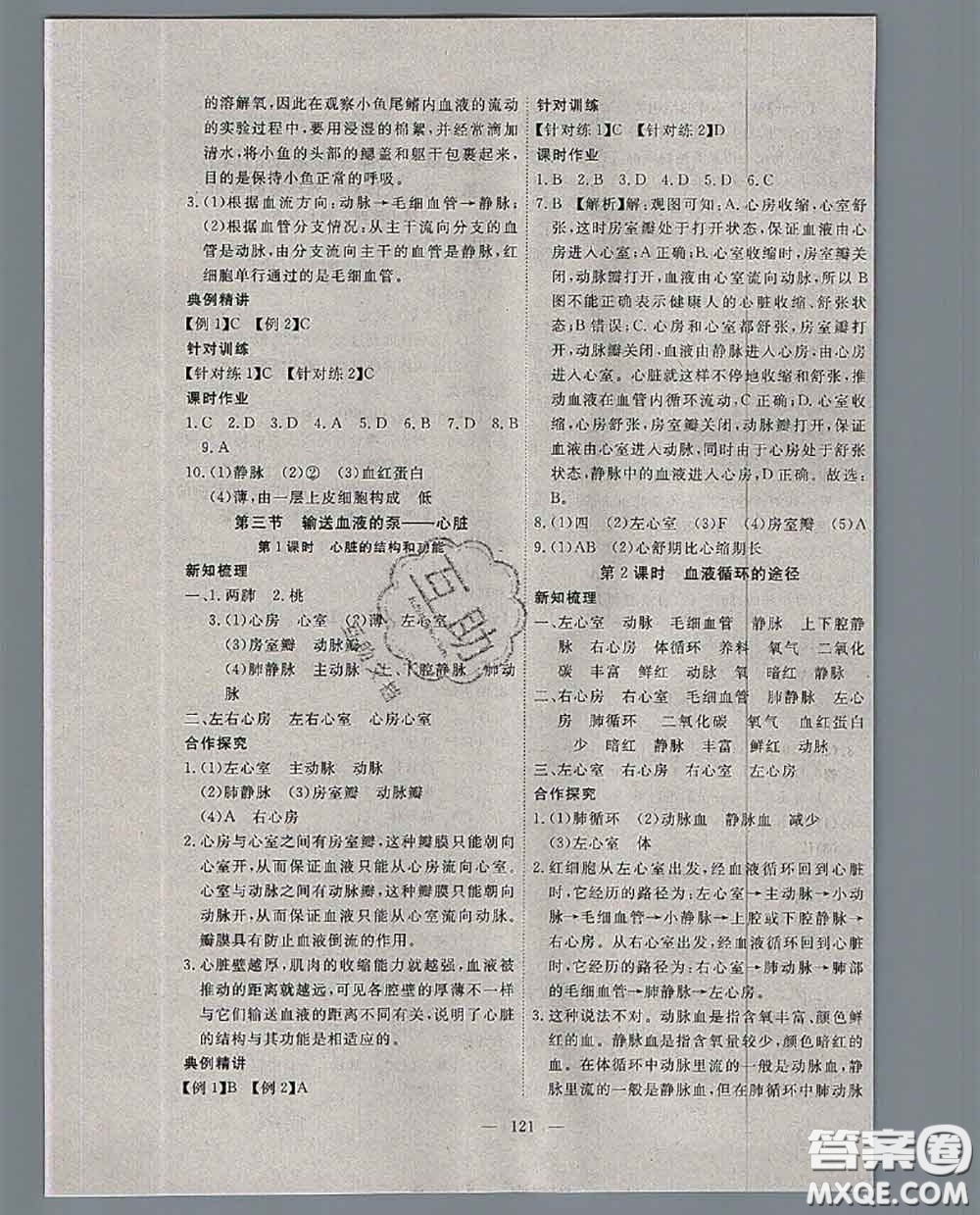 2020新版351高效課堂導學案七年級生物下冊人教版答案