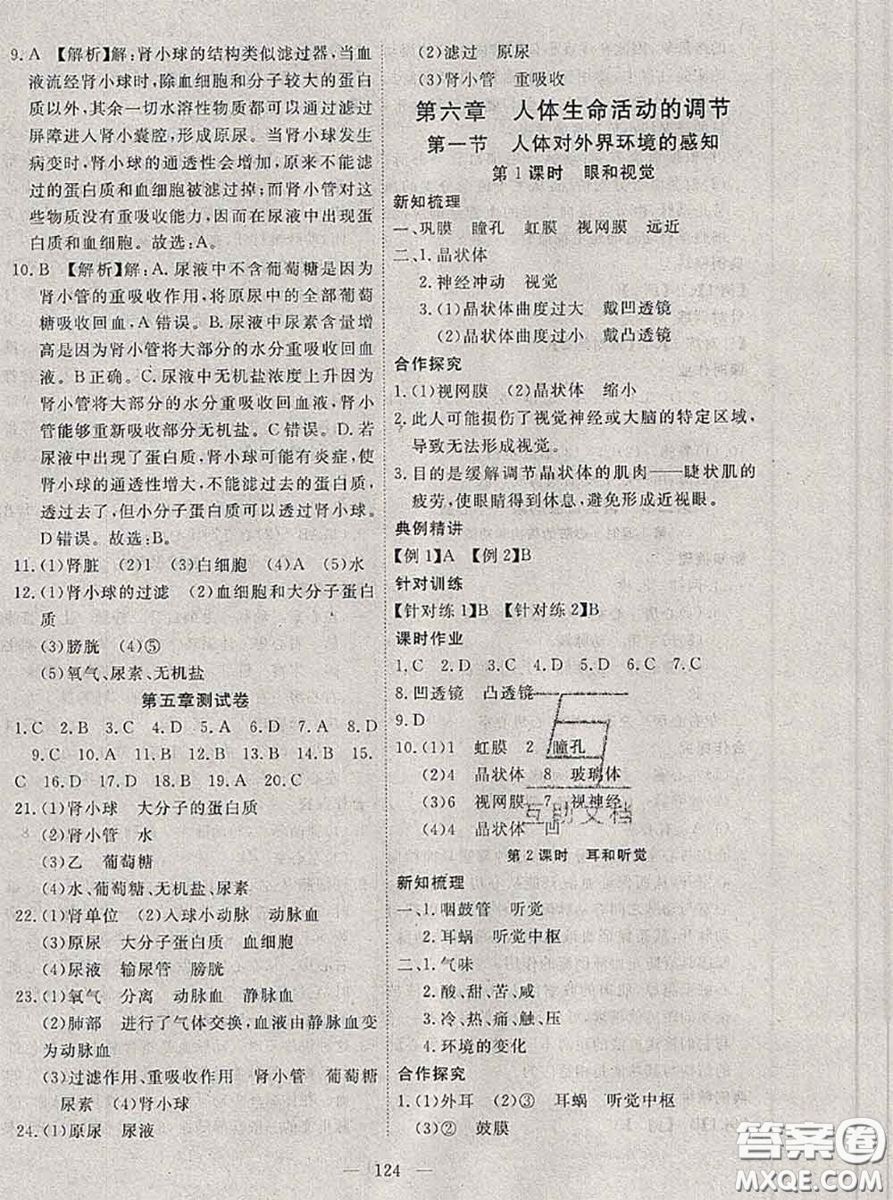 2020新版351高效課堂導學案七年級生物下冊人教版答案