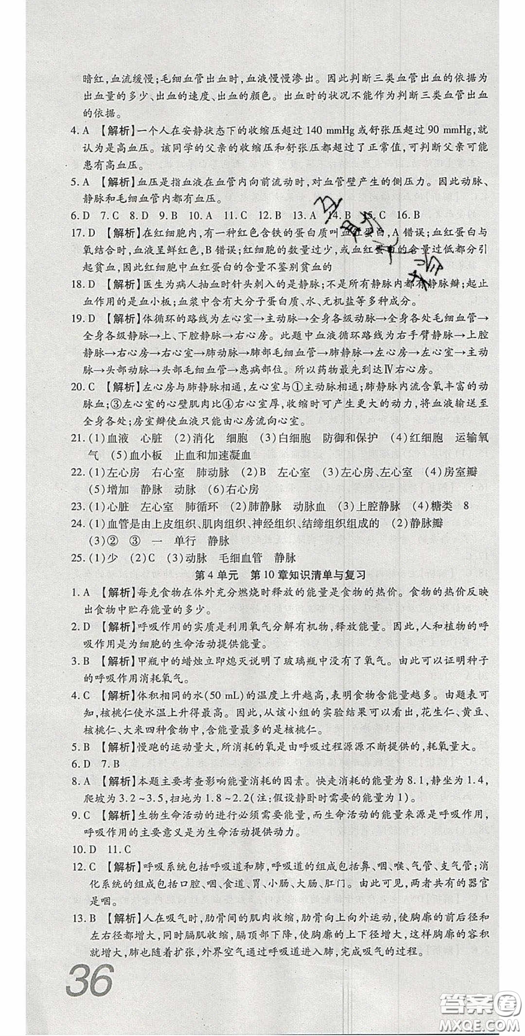 2020年高分裝備復(fù)習(xí)與測試七年級生物下冊北師大版答案